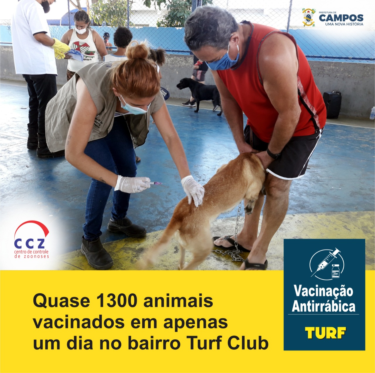 Foram vacinados contra a raiva, quase 1300 animais pets (Gatos e Cachorros) no primeiro dia.