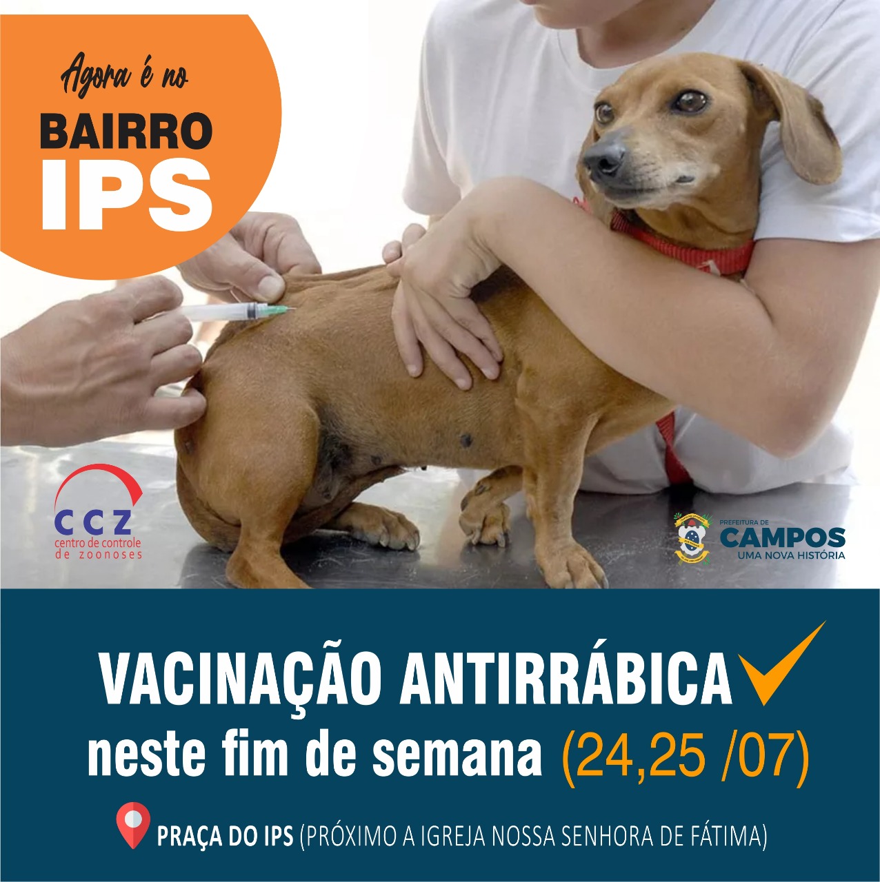 Campanha de vacinação antirrábica coordenada pelo CCZ, acontecerá neste final de semana no bairro IPS