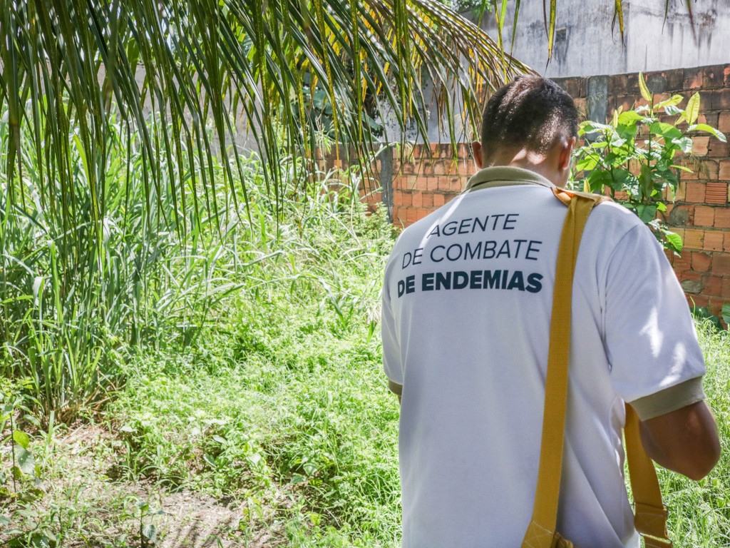 Dengue: Prevenção é a melhor saída para evitar números ainda mais alarmantes