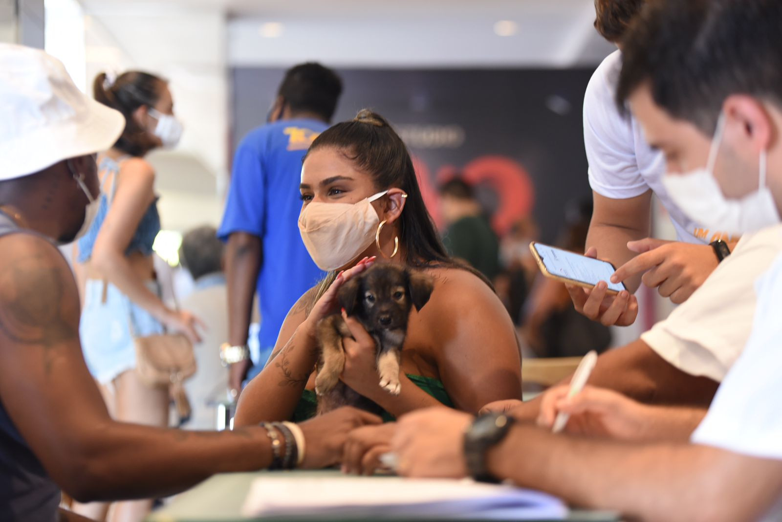 “Adote um amigo de 4 patas” bate recorde com 45 animais adotados em dois dias