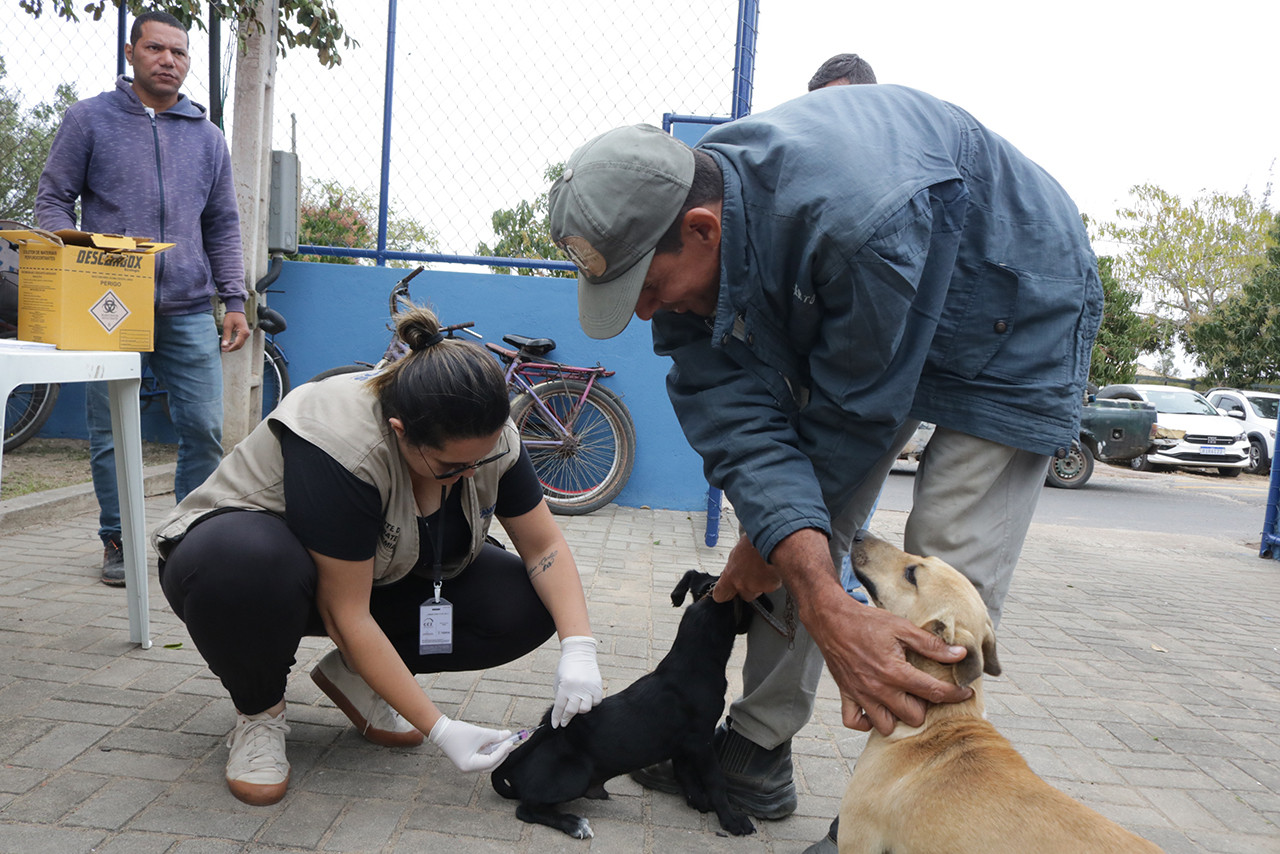 “Dia D” de Vacinação Antirrábica Animal é amanhã em vários pontos da cidade