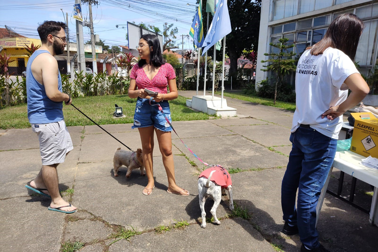 Dia D de Vacinação Antirrábica: quase 3,5 mil cães e gatos vacinados em três horas