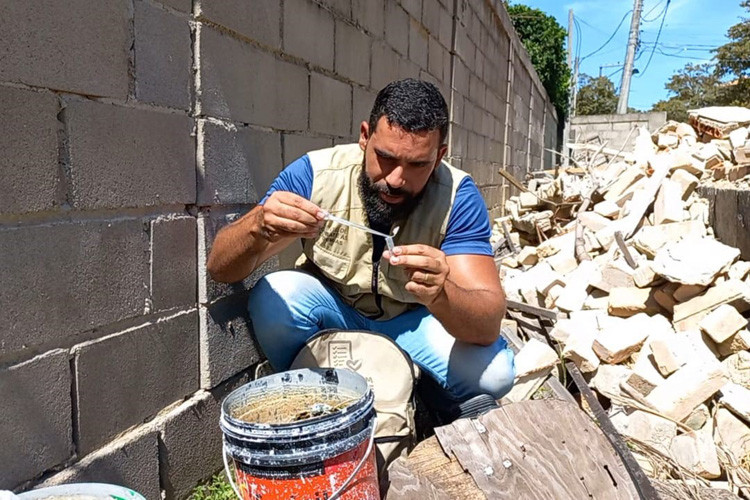 Antes de aproveitar o Carnaval, deixe sua casa protegida do Aedes aegypti