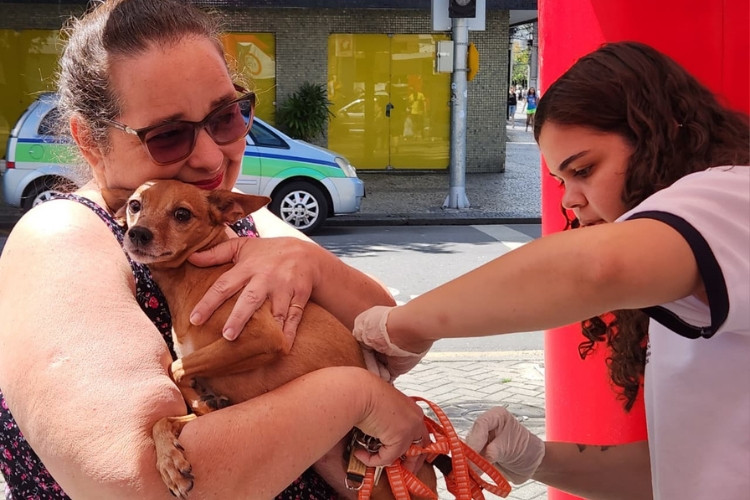 Perdeu o “Dia D”? Não se preocupe, Campos tem postos fixos de vacinação antirrábica