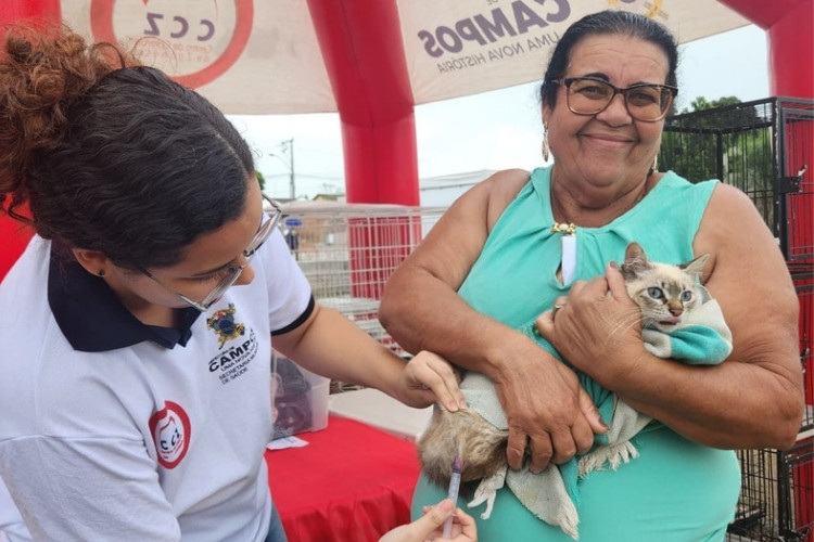 Vacinação antirrábica para cães e gatos neste domingo em Farol