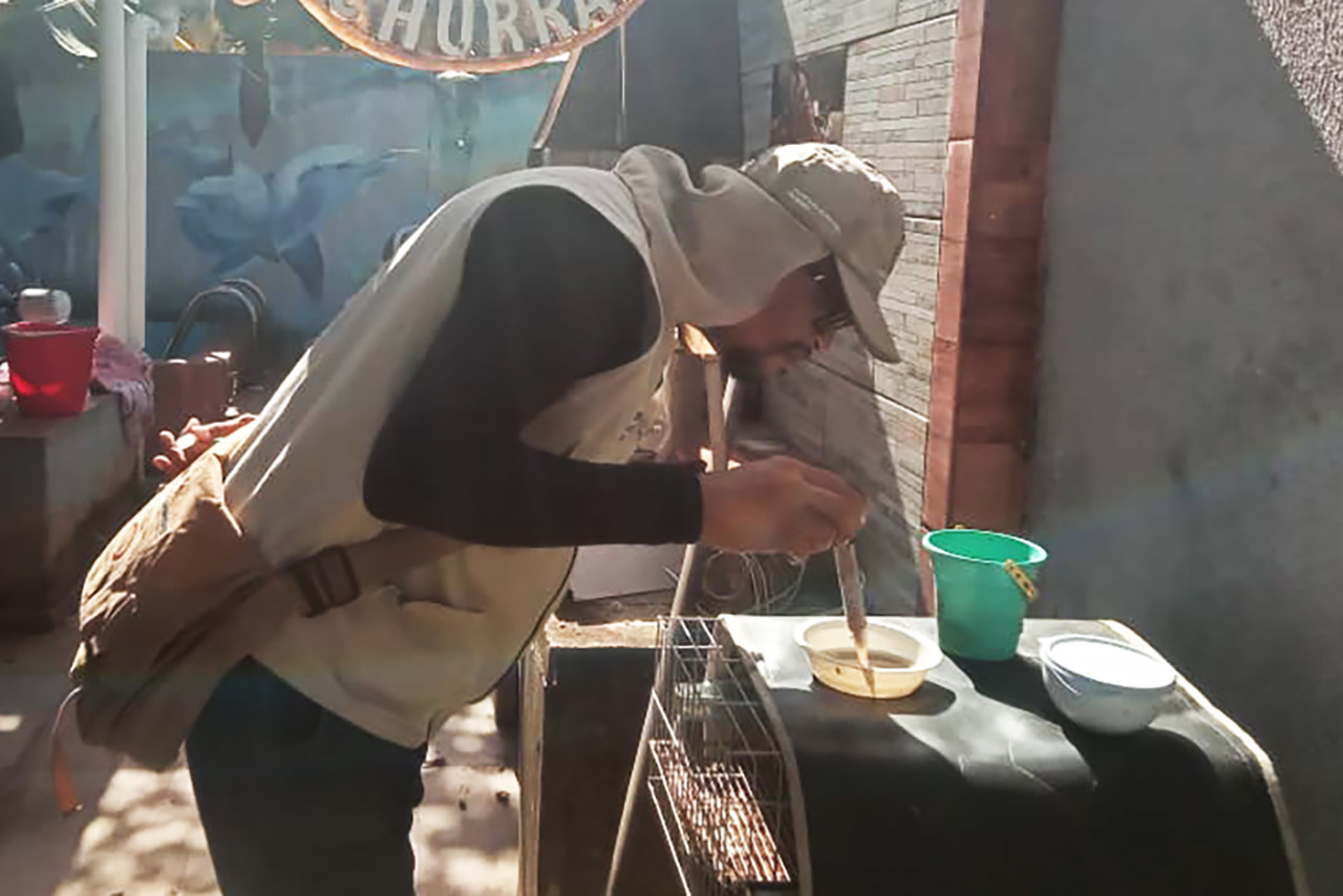 CCZ inicia primeiro LIRAa do ano em 99 bairros da área urbana