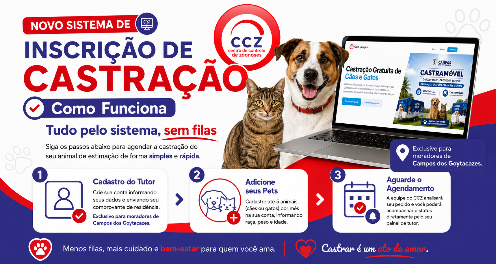 Sistema de Castração do CCZ Campos completa um mês com avanços