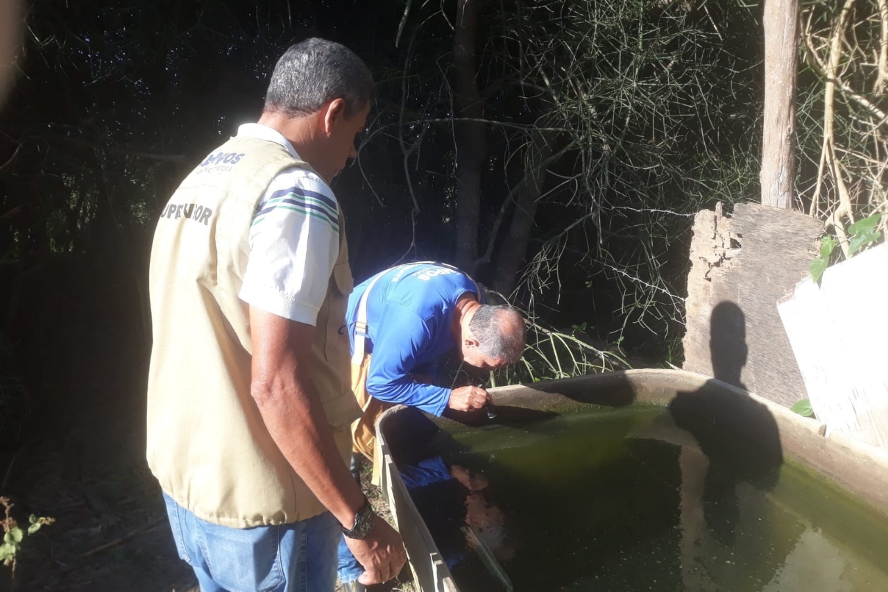 CCZ finaliza quarto ciclo de pesquisa de captura e eliminação do Aedes aegypti